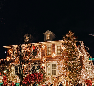 Christmas lights _edited.png