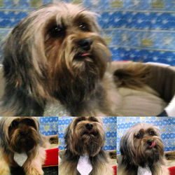 WhatsApp Image 2016-11-14 at 2.45.11 PM