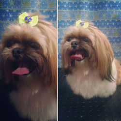 WhatsApp Image 2016-11-14 at 2.41.42 PM