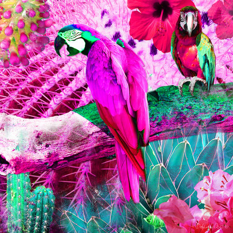 Inspiration Popart