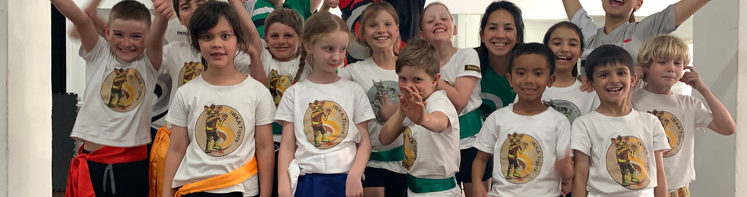 happy kung fu tigers kids brisbane