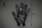 Thumbnail: The Pleasure Glove (Black)
