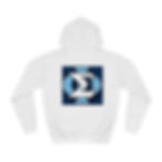 Thumbnail: Sigma Phi College Hoodie