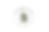 FINAL NATURE PAD LOGO-01.png