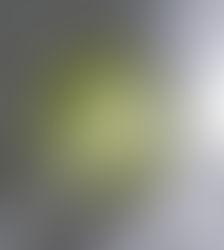 WHICH VOICE ARE YOU HEARING?