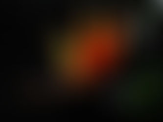 THE QUEST FOR FREEDOM