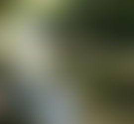 TO SUFFER OR NOT TO SUFFER