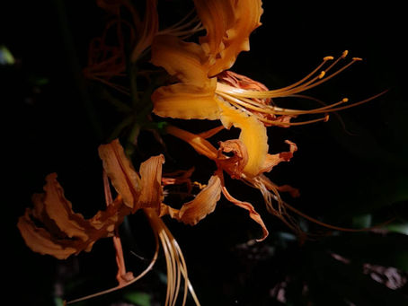 DISRUPTING AWARENESS