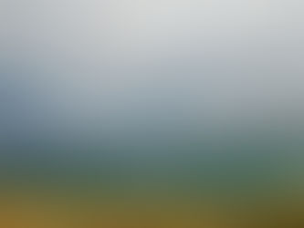 GUILT - SHAME - REMORSE