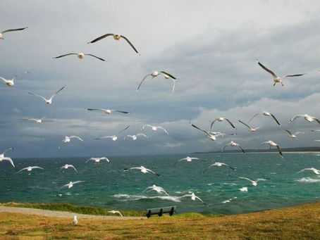 GUILT - SHAME - REMORSE