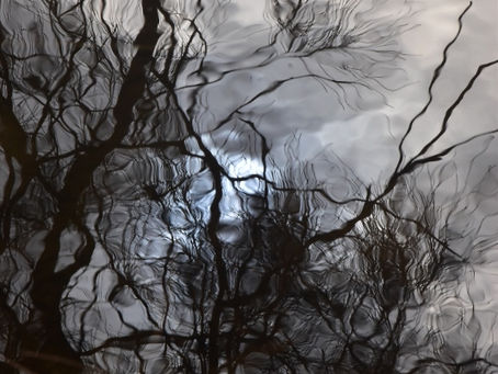 SEEDING THE GRAND DREAM