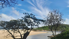 THERE 'IS' ONLY ONE OF US