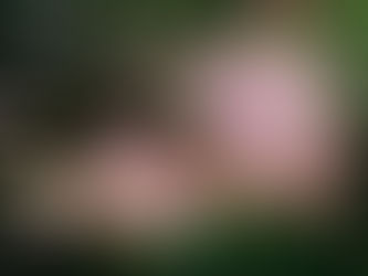 RAISE YOUR FREQUENCY ???