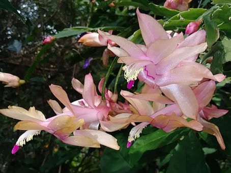 RAISE YOUR FREQUENCY ???