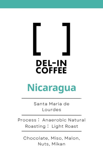 ドリップバッグ（1種 12g × 3個） Nicaragua Marcellesa Anaerobic