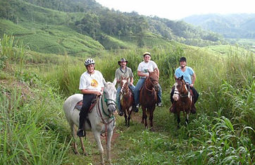 calbagata uchucay.jpg