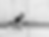 Screenshot 2024-05-09 at 11.22.53 AM.png