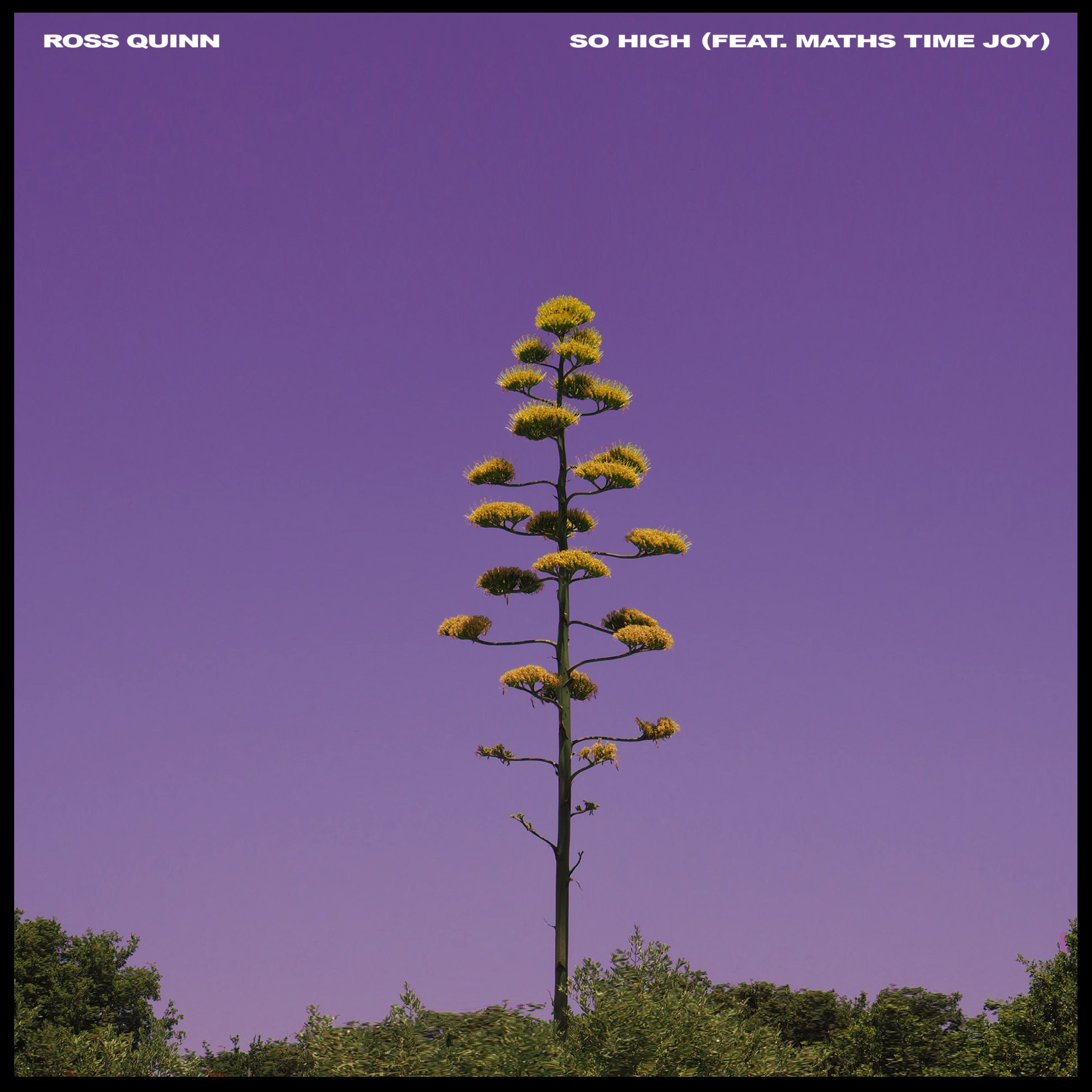 Maths Time Joy features on Ross Quinn's new song 'So High' — Fast Friends