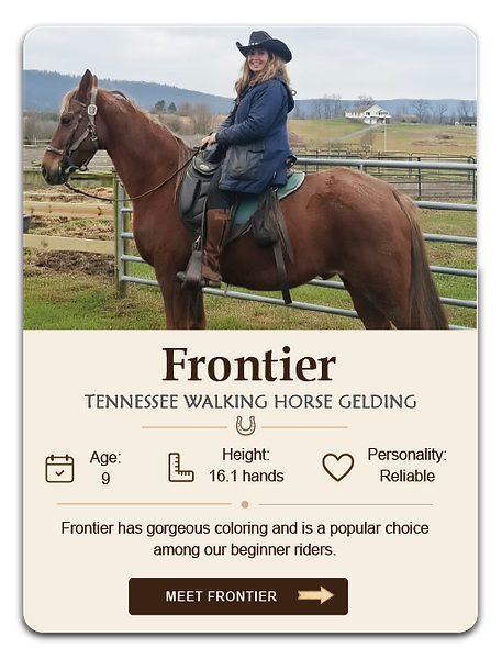 Frontier_Profile_Card.png