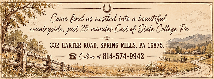 Vintage Countryside Ranch Flyer.png