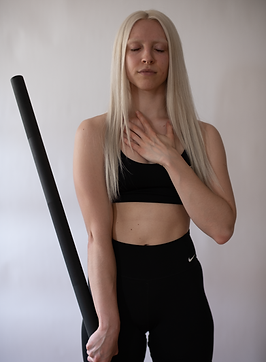 The Warrior of Steel