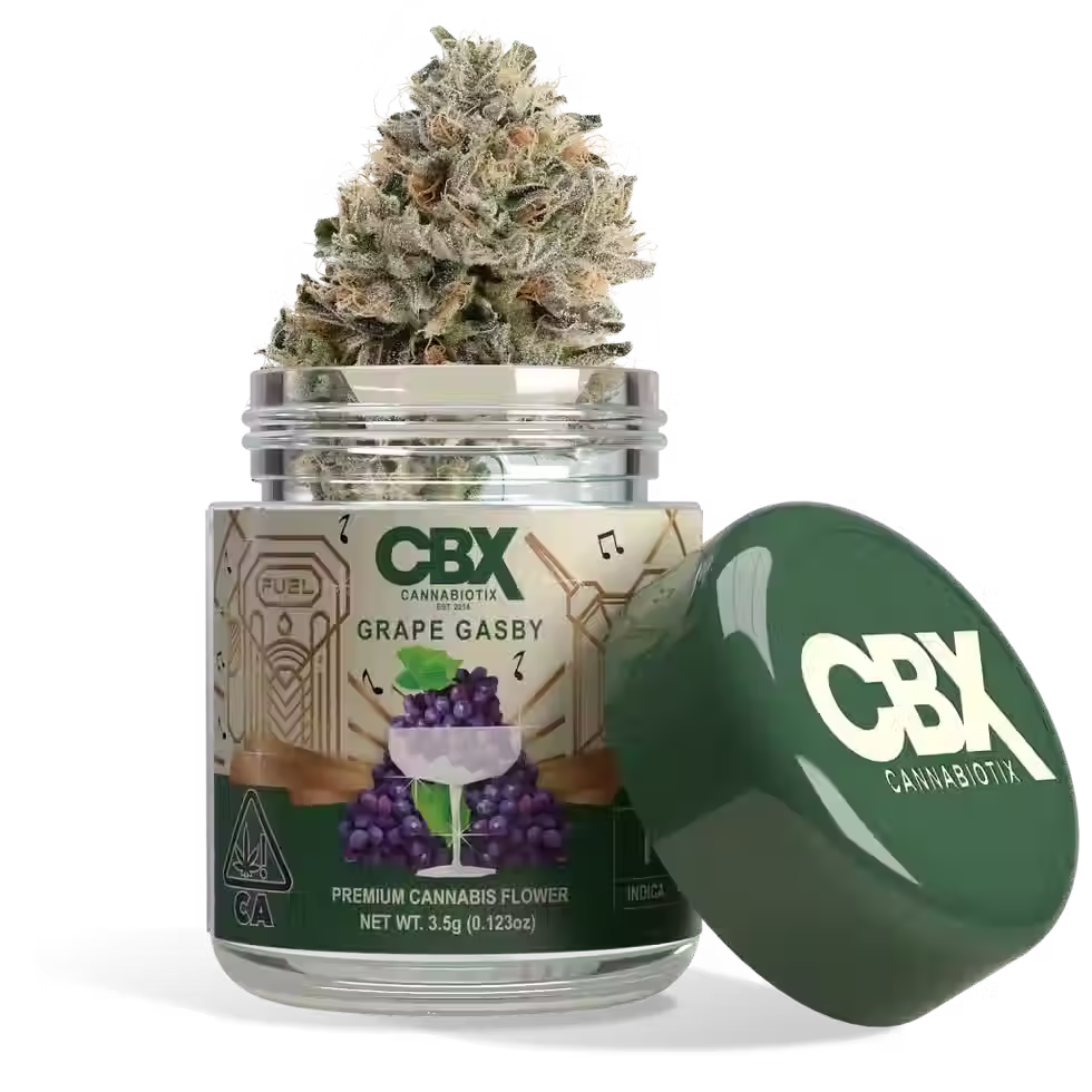 CBX Grape Gasby 3.5g Indica flower displayed with packaging and buds