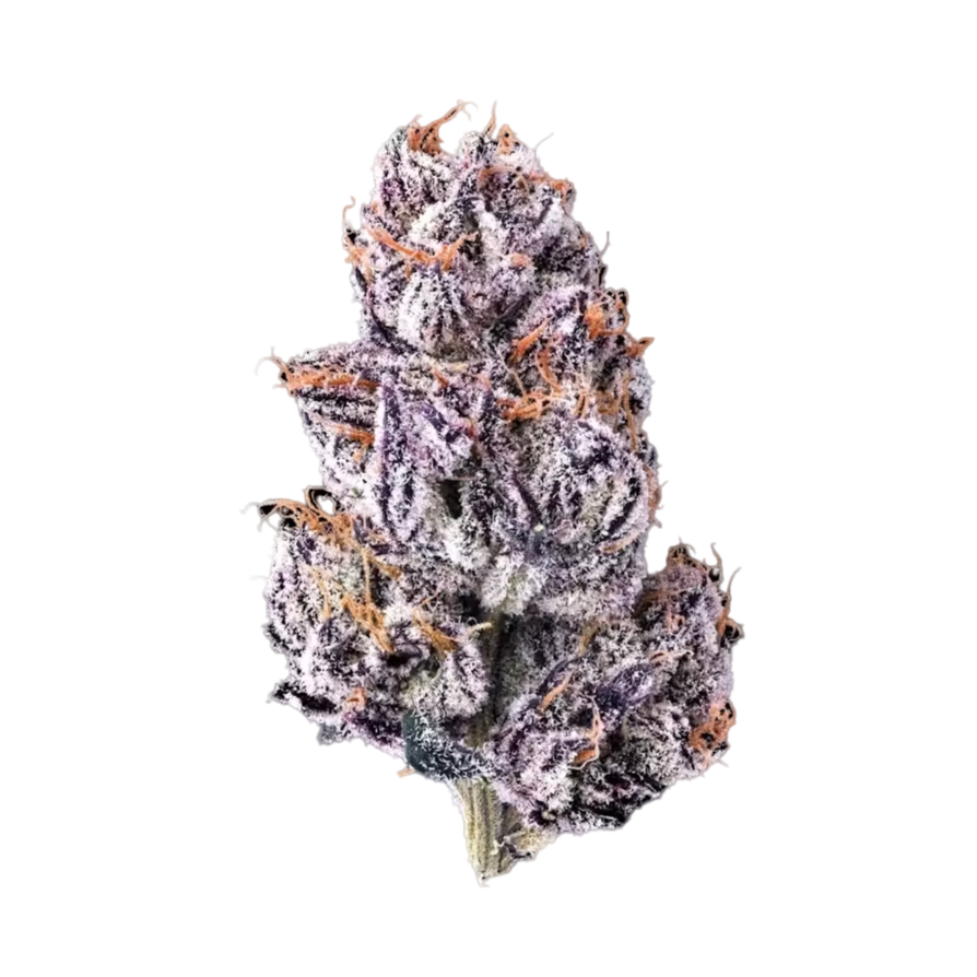 Maven New Money 1g pre-roll flower