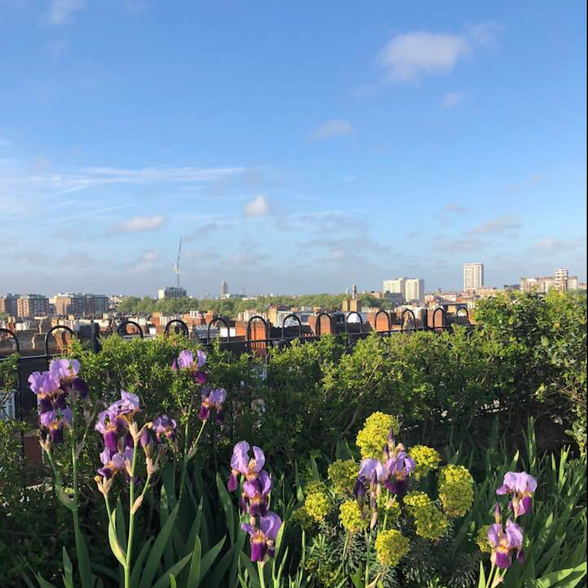 4th July 2018 "Rooftop Sciences Po Wednesday"