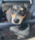 914465CB-F312-44BE-851D-4183B283C06E.jpeg