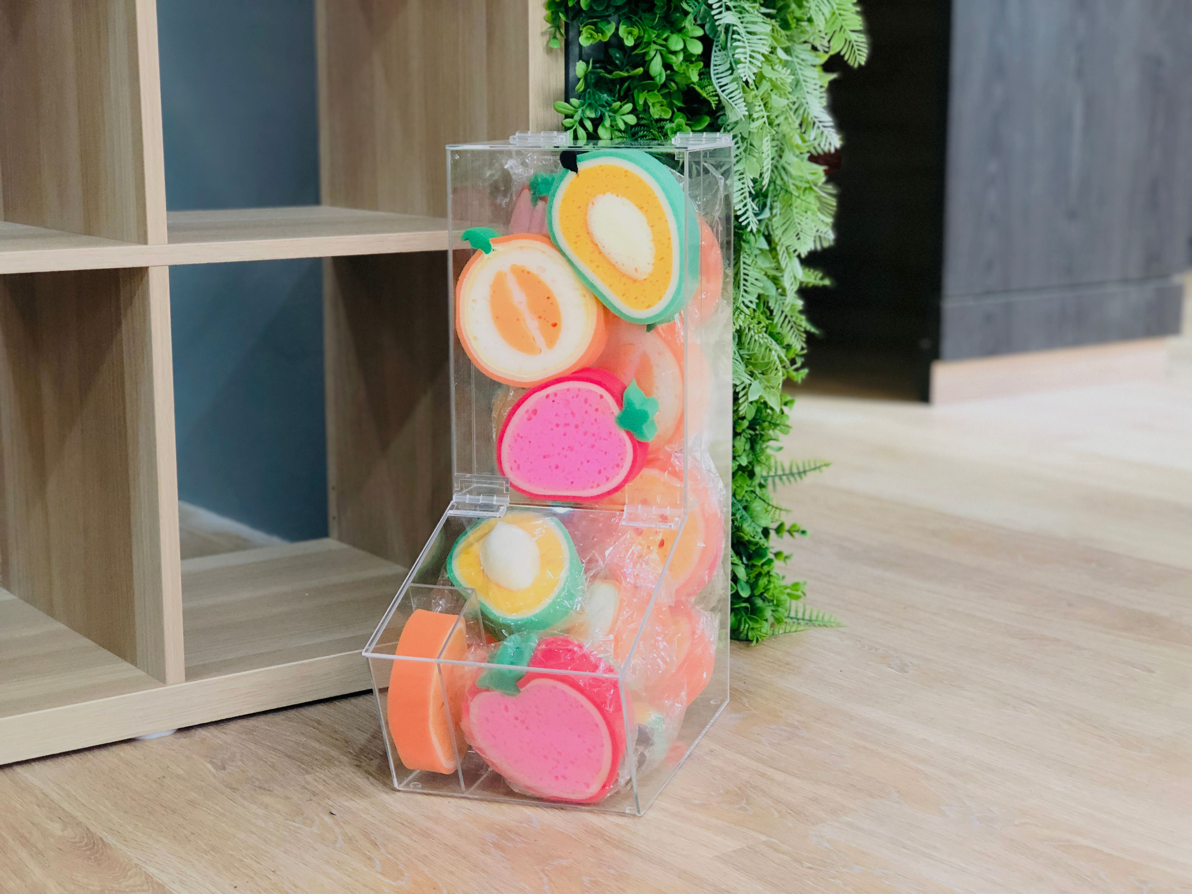 Acrylic Storage Case