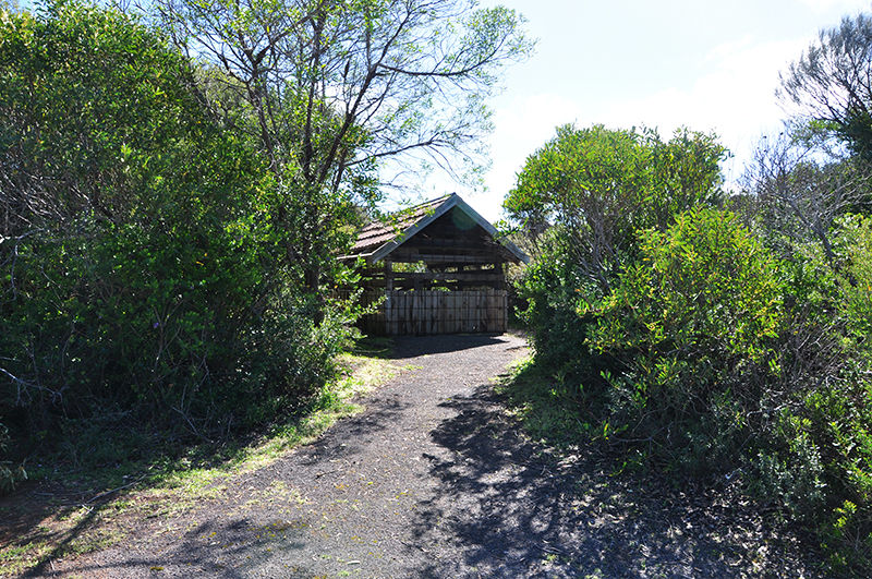 Lanky's Well