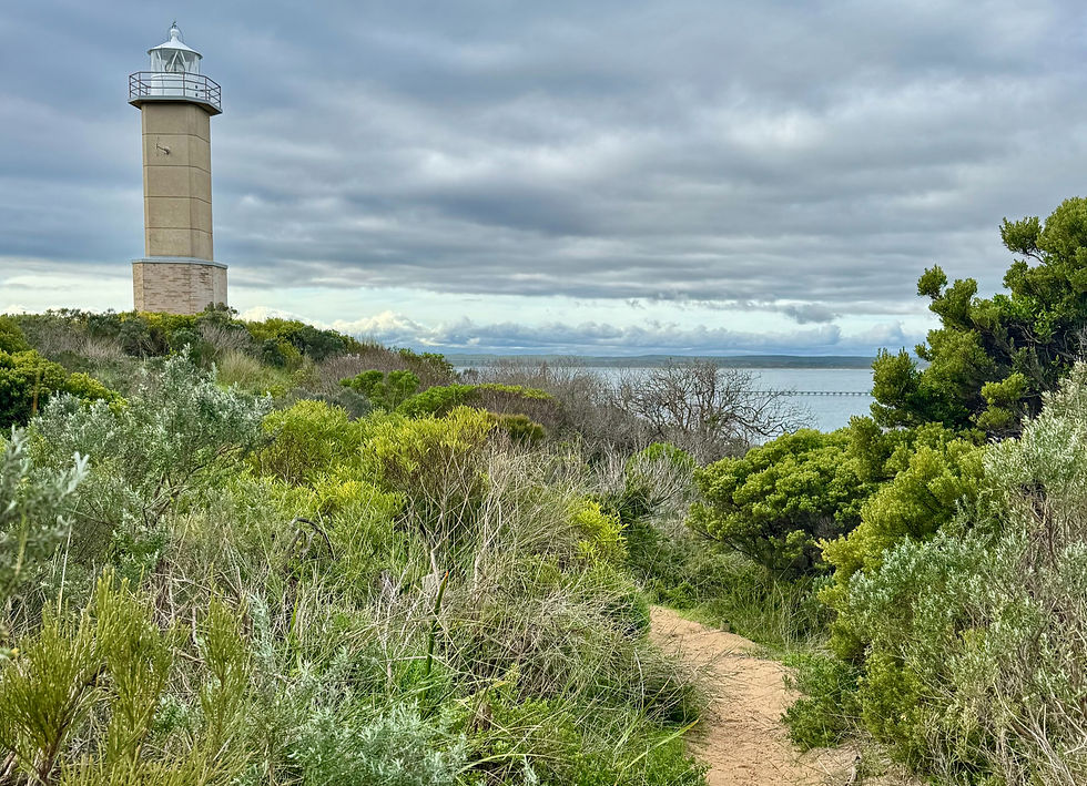 Cape Martin Lighthouse walk