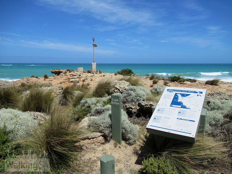 Cape Buffon Walk