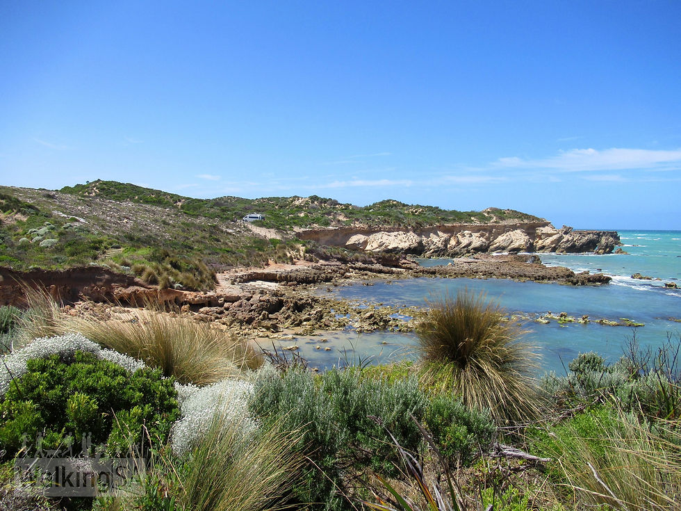 Cape Buffon Walk