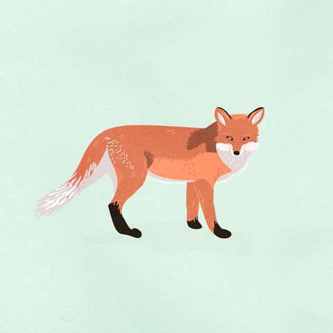 Twig stuff square 2.png