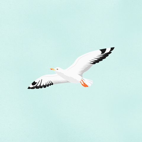 Twig stuff square 3.png