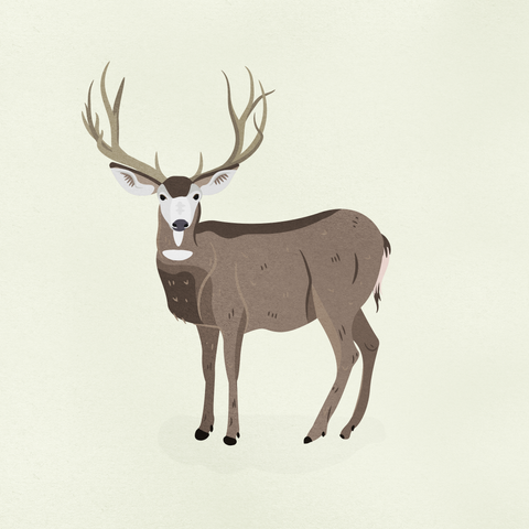 Twig stuff square 1.png