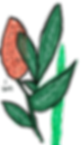 flor.png