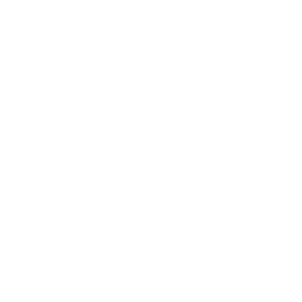 Visa Collective - Logo (3).png