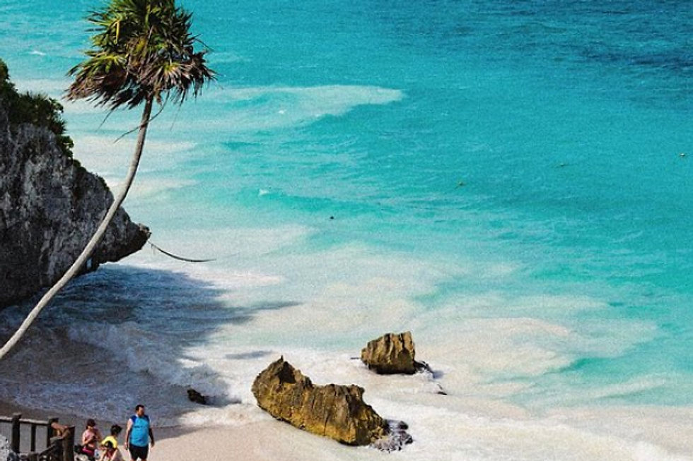Palm-lined Tulum beach on the Caribbean Sea