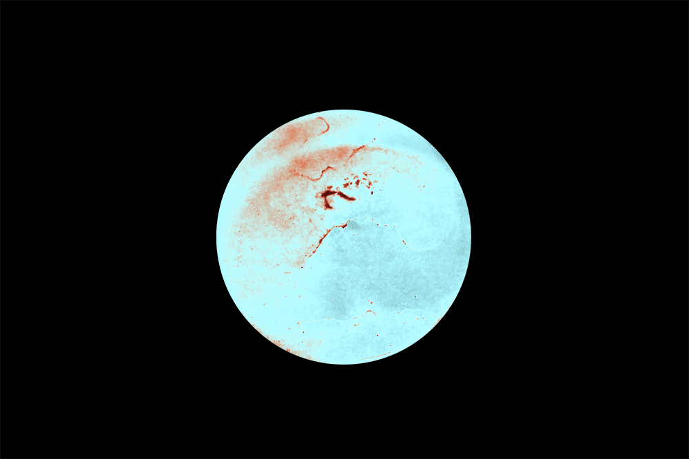 Jan27_LBGM_Broth_16sec_v2.gif