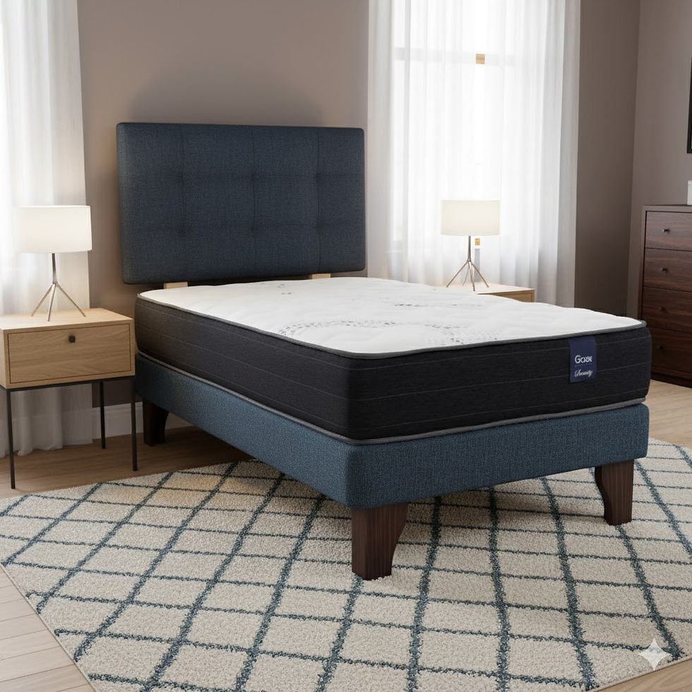 Miniatura: Cama 1 Plaza Europea 190 Ginebra