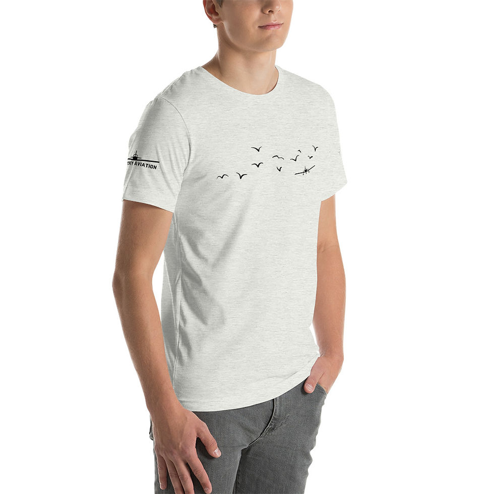 Thumbnail: Soaring with the Birds