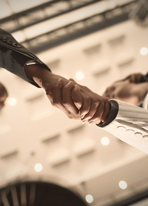 Business Handshake_edited.jpg