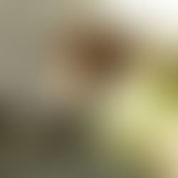 Mexico Surrogacy: IVF Transfer Failure—Keep Trying? POWER IVF Guide