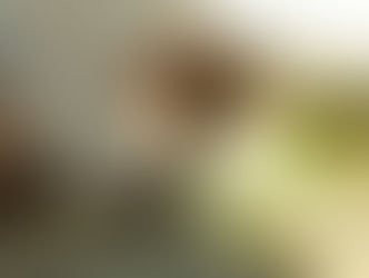 Subrogación en México: ¿Fracaso en la transferencia de FIV? ¿Deberías seguir intentándolo? Guía de POWER IVF