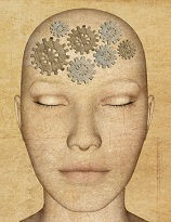 Neuroplasticity and Addiction Recovery