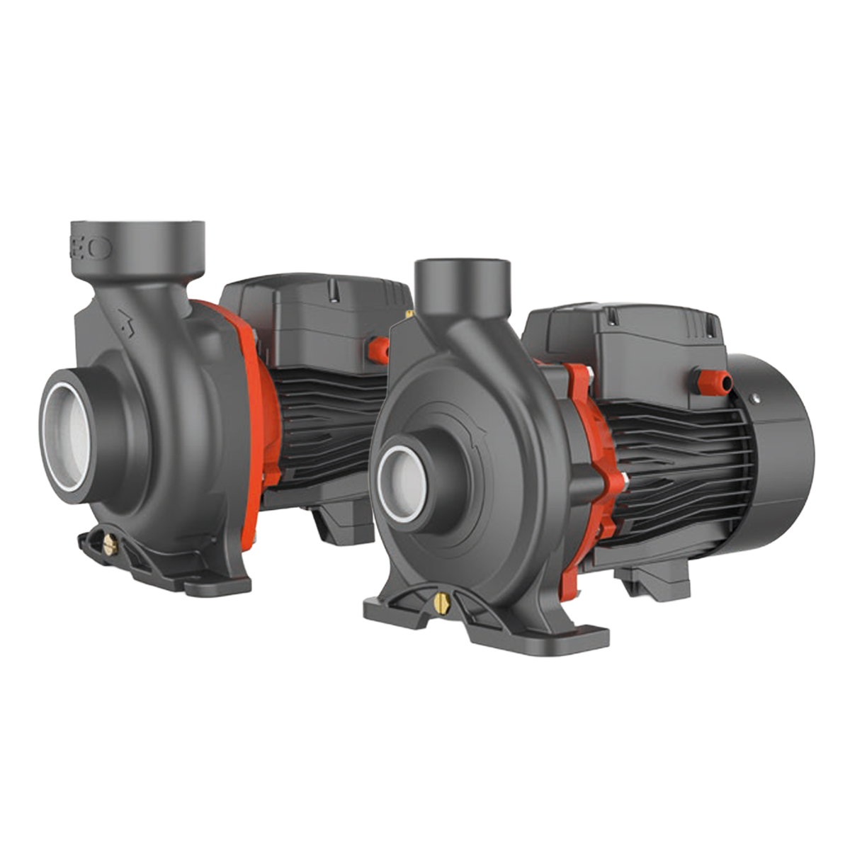 Motobomba Centrífuga AC rotor em bronze