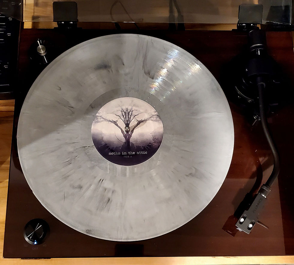 Thumbnail: Moths in the Attic Record
