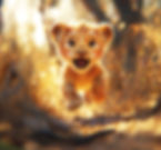 Affiche personnalisée lionceau pour chambre d'enfant - Customized lion poster children room Personnalisable A4 A3 30x30